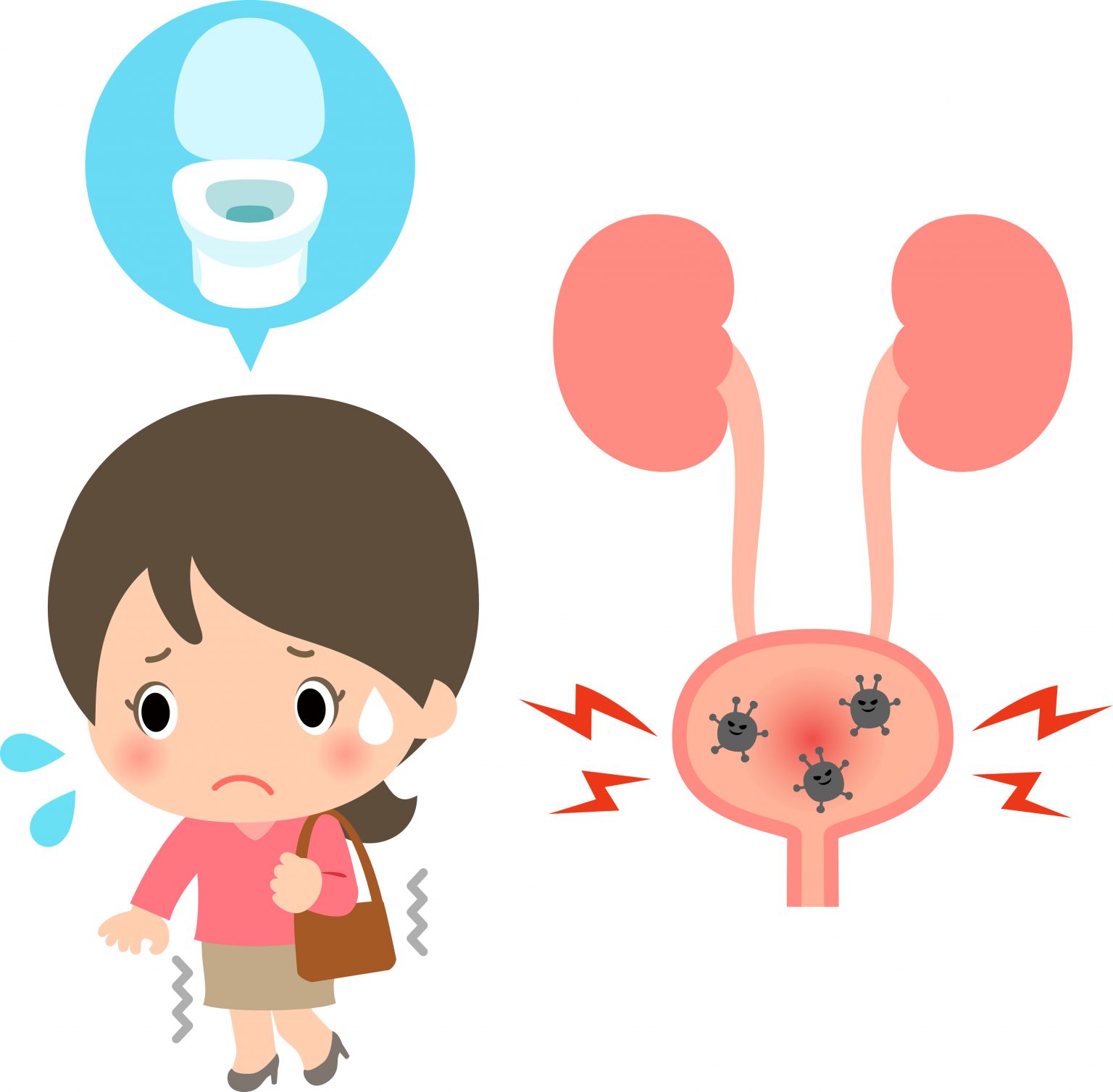 膀胱炎でお悩みの患者さんへ | みうら泌尿器科クリニック