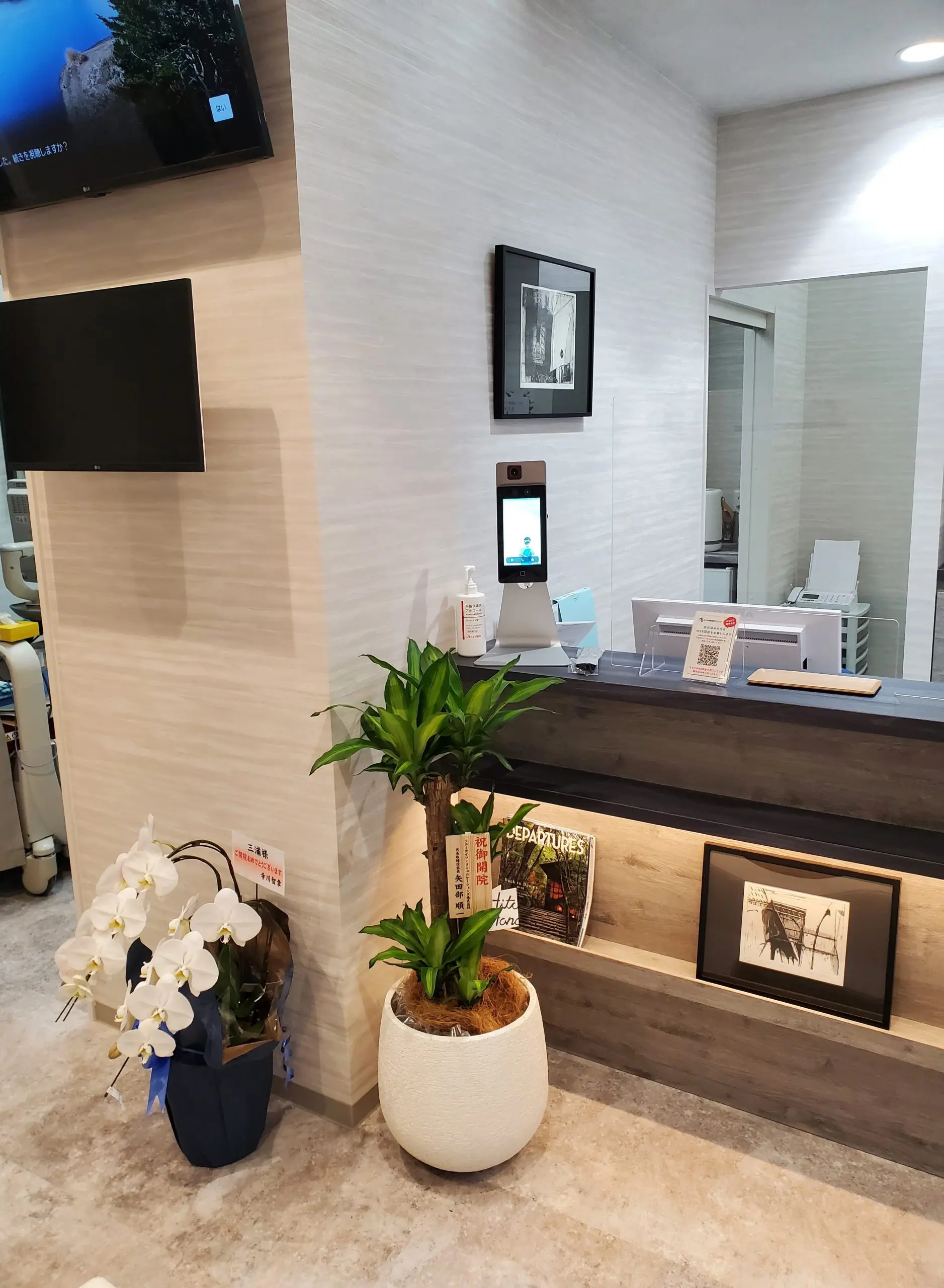 6月1日開院しました 胡蝶蘭がいっぱいです みうら泌尿器科クリニック